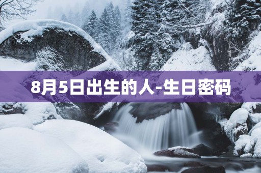 8月5日出生的人-生日密码