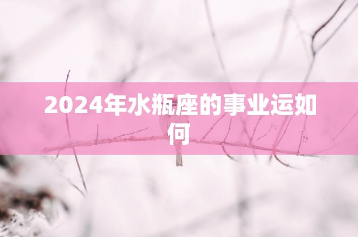 2025年水瓶座的事业运如何
