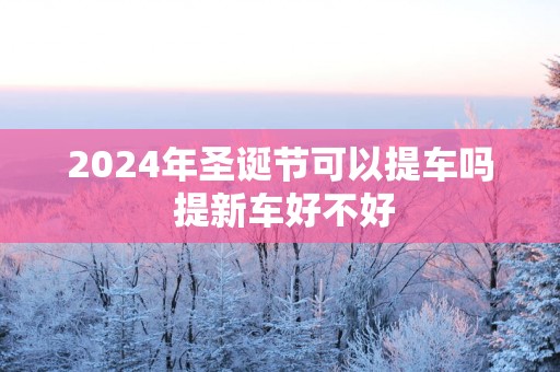 2025年圣诞节可以提车吗 提新车好不好