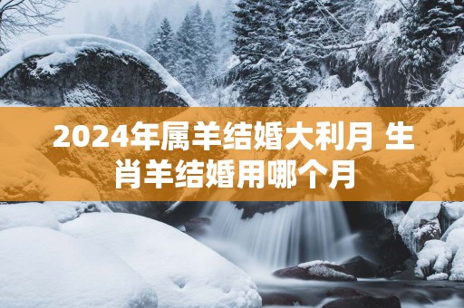 2025年属羊结婚大利月 生肖羊结婚用哪个月