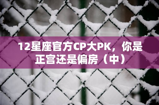 12星座官方CP大PK，你是正宫还是偏房（中）