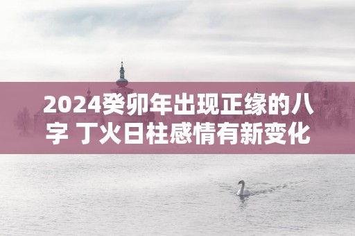2025癸卯年出现正缘的八字 丁火日柱感情有新变化