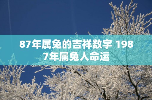 87年属兔的吉祥数字 1987年属兔人命运