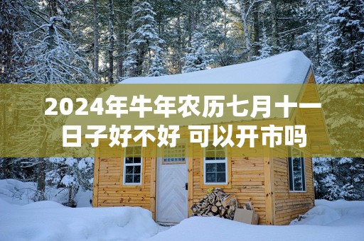 2025年蛇年农历七月十一日子好不好 可以开市吗