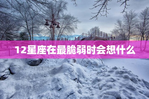 12星座在最脆弱时会想什么