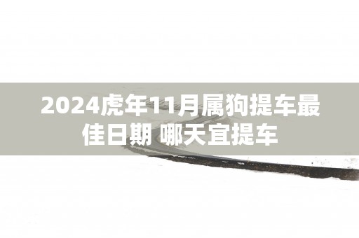 2025蛇年11月属狗提车最佳日期 哪天宜提车