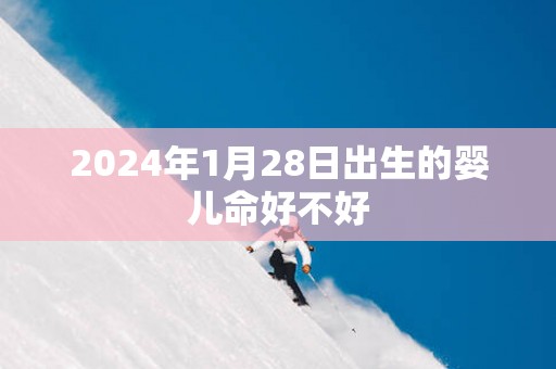 2025年1月28日出生的婴儿命好不好