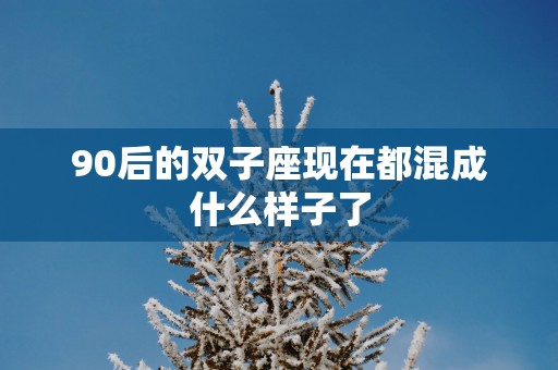 90后的双子座现在都混成什么样子了