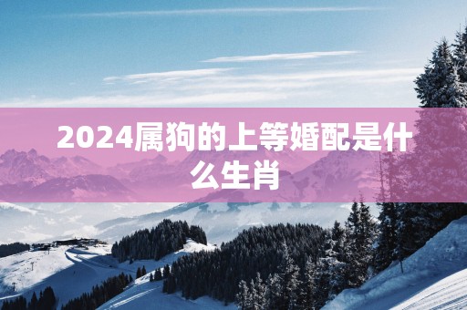 2025属狗的上等婚配是什么生肖