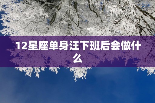 12星座单身汪下班后会做什么
