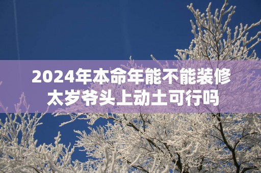 2025年本命年能不能装修 太岁爷头上动土可行吗