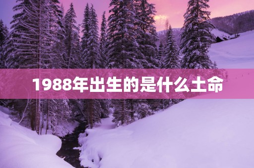 1988年出生的是什么土命