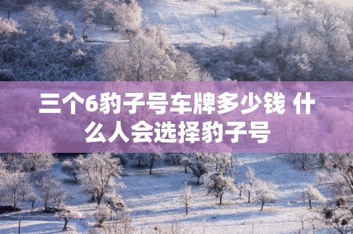 三个6豹子号车牌多少钱 什么人会选择豹子号
