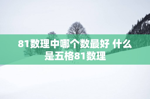 81数理中哪个数最好 什么是五格81数理
