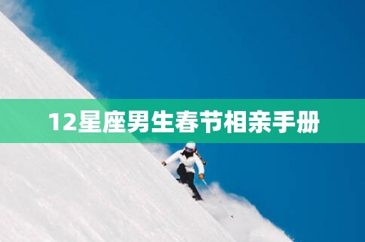12星座男生春节相亲手册