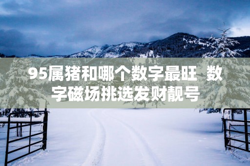 95属猪和哪个数字最旺  数字磁场挑选发财靓号
