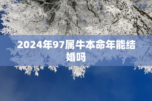 2025年97属牛本命年能结婚吗