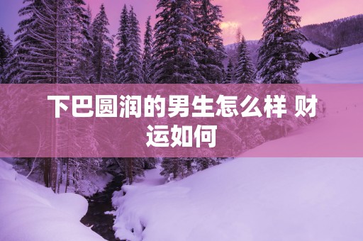 下巴圆润的男生怎么样 财运如何