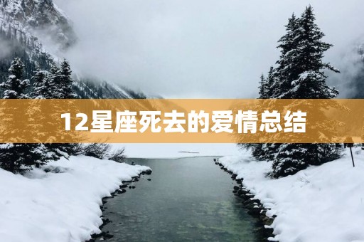 12星座死去的爱情总结
