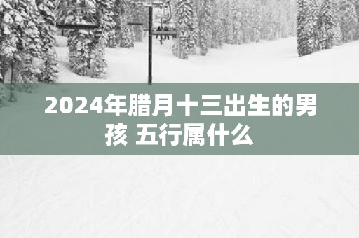 2025年腊月十三出生的男孩 五行属什么
