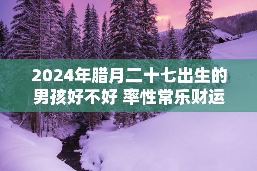 2025年腊月二十七出生的男孩好不好 率性常乐财运旺盛