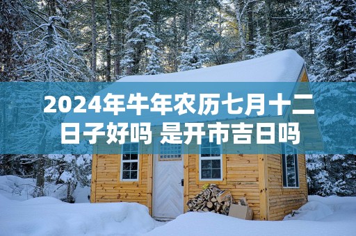 2025年蛇年农历七月十二日子好吗 是开市吉日吗
