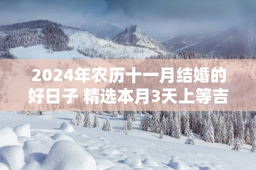 2025年农历十一月结婚的好日子 精选本月3天上等吉日
