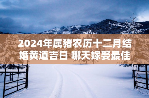 2025年属猪农历十二月结婚黄道吉日 哪天嫁娶最佳