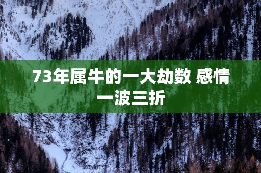 73年属牛的一大劫数 感情一波三折