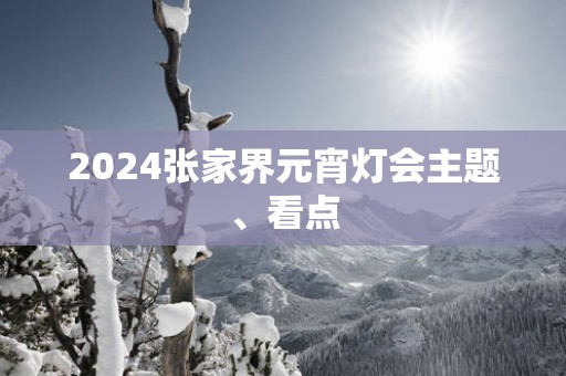 2025张家界元宵灯会主题、看点