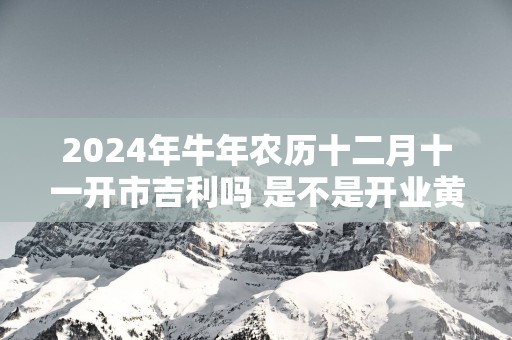 2025年蛇年农历十二月十一开市吉利吗 是不是开业黄道吉日