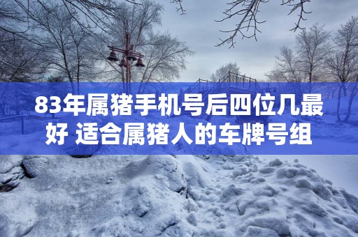 83年属猪手机号后四位几最好 适合属猪人的车牌号组合