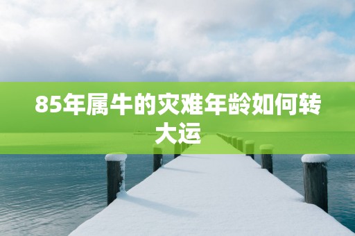 85年属牛的灾难年龄如何转大运