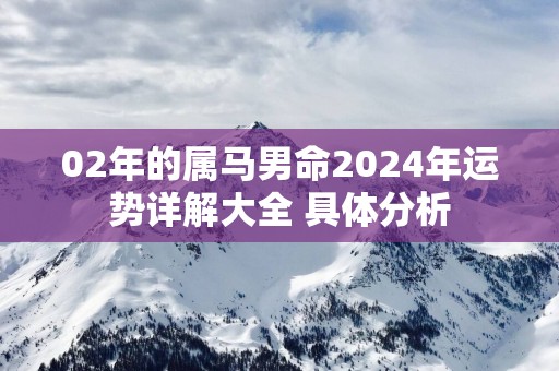 02年的属马男命2025年运势详解大全 具体分析