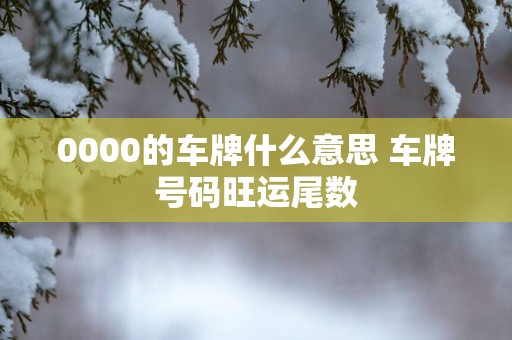 0000的车牌什么意思 车牌号码旺运尾数