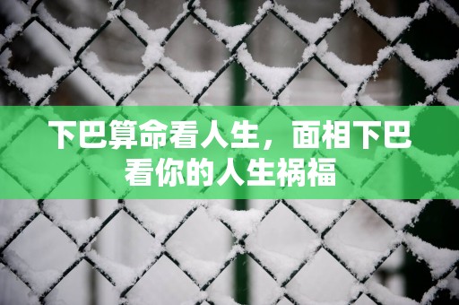 下巴算命看人生，面相下巴看你的人生祸福