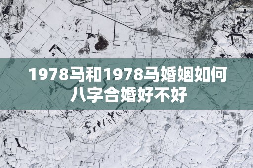 1978马和1978马婚姻如何 八字合婚好不好