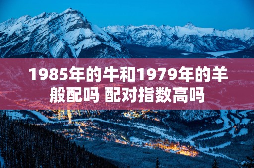 1985年的牛和1979年的羊般配吗 配对指数高吗