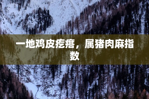 一地鸡皮疙瘩，属猪肉麻指数