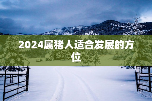 2025属猪人适合发展的方位
