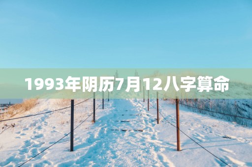 1993年阴历7月12八字算命