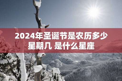 2025年圣诞节是农历多少星期几 是什么星座