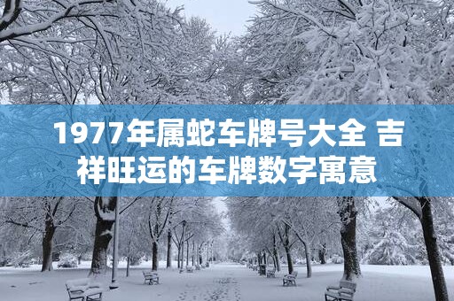 1977年属蛇车牌号大全 吉祥旺运的车牌数字寓意