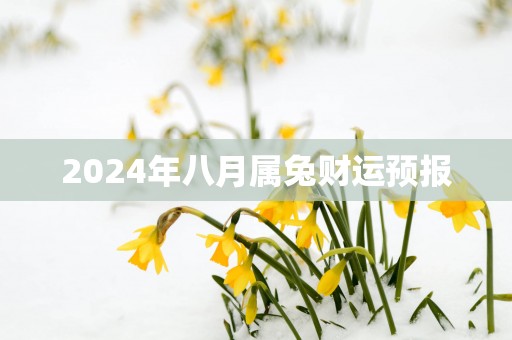 2025年八月属兔财运预报