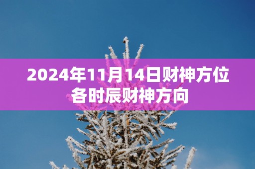 2025年11月14日财神方位 各时辰财神方向