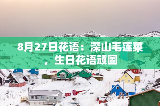 8月27日花语：深山毛莲菜，生日花语顽固