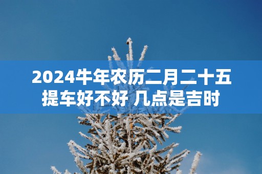 2025蛇年农历二月二十五提车好不好 几点是吉时