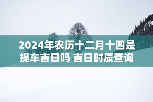 2025年农历十二月十四是提车吉日吗 吉日时辰查询