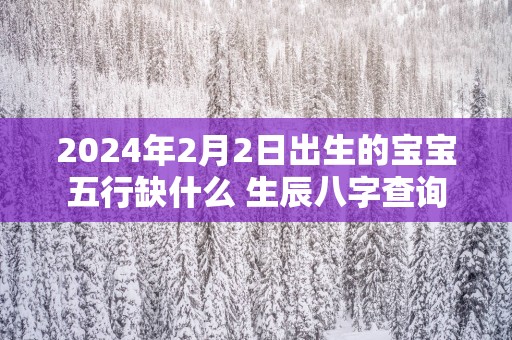 2025年2月2日出生的宝宝五行缺什么 生辰八字查询