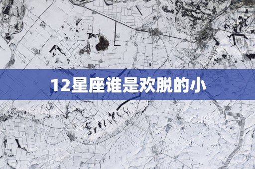 12星座谁是欢脱的小